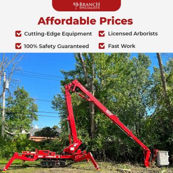 Image for Branch Specialists Rochester NY with ID of: 5502779