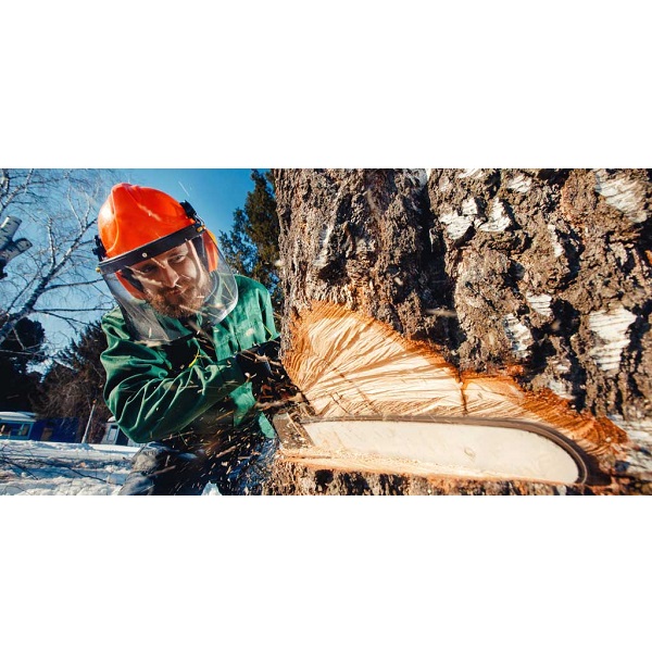 Image for Small Business Liability with ID of: 5502890