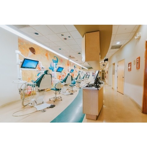 Image for Magicland Dental with ID of: 5503667