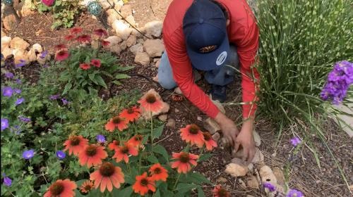 Image for AZ Irrigation & Maintenance with ID of: 5507234