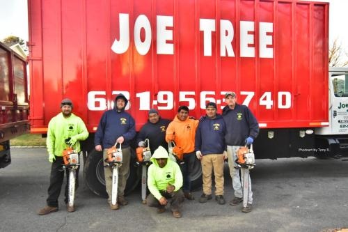 Image for Joe Tree, Tree Service Inc with ID of: 5513685