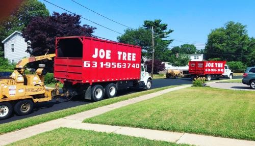 Image for Joe Tree, Tree Service Inc with ID of: 5513686
