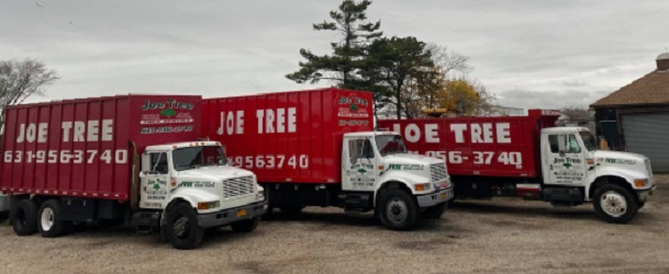 Image for Joe Tree, Tree Service Inc with ID of: 5513687