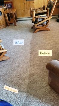 Image for Beyond Clean Carpet LLC with ID of: 5521215