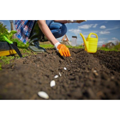 Image for Secure Lawn with ID of: 5523916