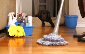 Image for S & H Cleaning Service with ID of: 5526513
