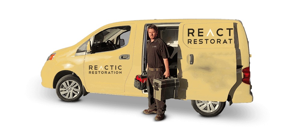 Image for Reactic Restoration with ID of: 5528311