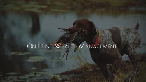 Image for On Point Wealth Management with ID of: 5534881
