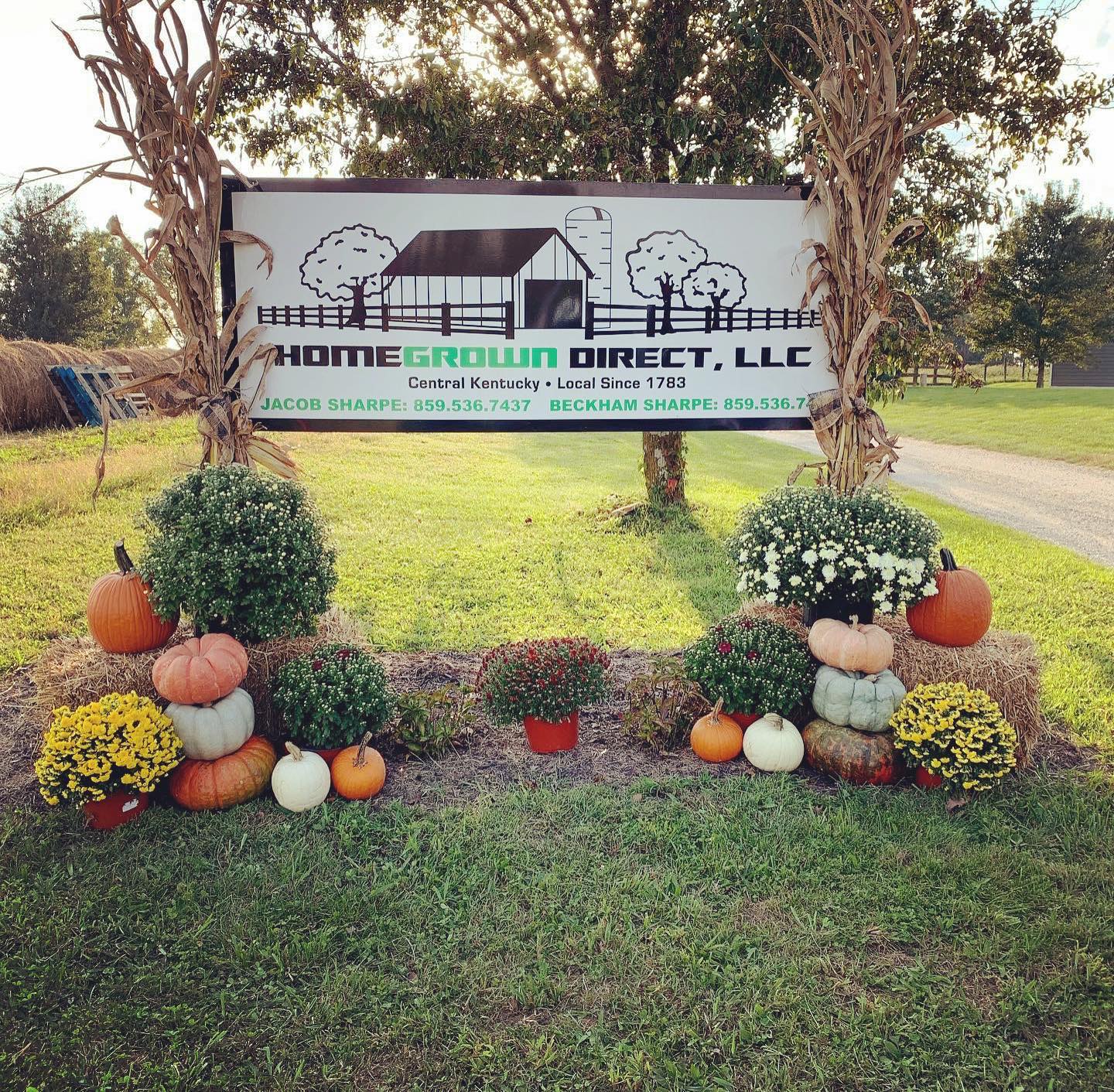 Image for HomeGrown Direct LLC with ID of: 5542278