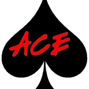 Image for ACE Pool Repair & Remodel with ID of: 5345915
