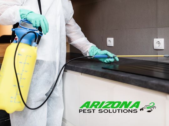 Image for Arizona Pest Solutions with ID of: 5549091