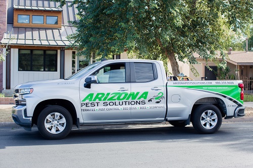 Image for Arizona Pest Solutions with ID of: 5549092