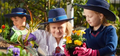 Image for West Moreton Anglican College with ID of: 5551314