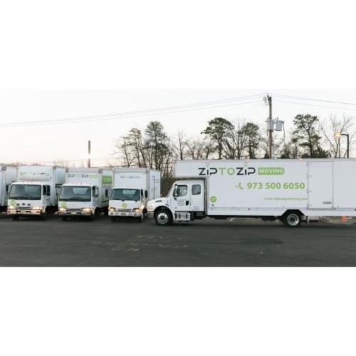 Image for Zip To Zip Moving - NY with ID of: 5558604