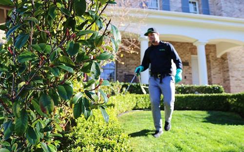 Image for HomeShield Pest Control with ID of: 5559256