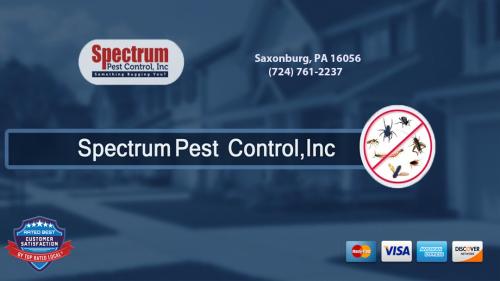 Image for Spectrum Pest Control with ID of: 5560613