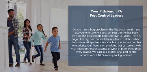 Image for Spectrum Pest Control with ID of: 5561956