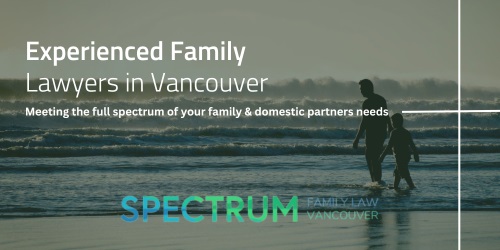 Image for Spectrum Family Law with ID of: 5561966