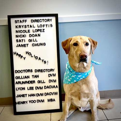 Image for Hope Veterinary Care with ID of: 5564898