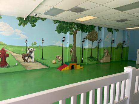Image for Paw Haven with ID of: 5567365