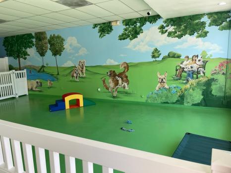 Image for Paw Haven with ID of: 5567371