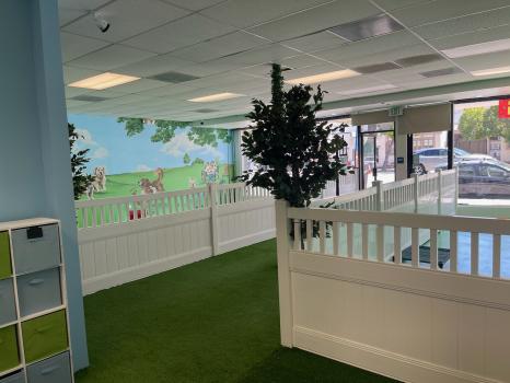 Image for Paw Haven with ID of: 5567373