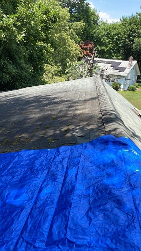 Image for Go Pro Roofing & Construction with ID of: 5568221
