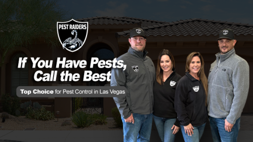 Image for Pest Raiders with ID of: 5568485