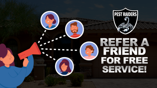 Image for Pest Raiders with ID of: 5568486