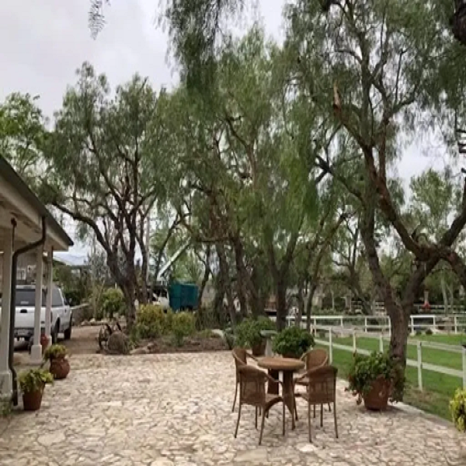 Image for Valley Tree Care LLC with ID of: 5569496