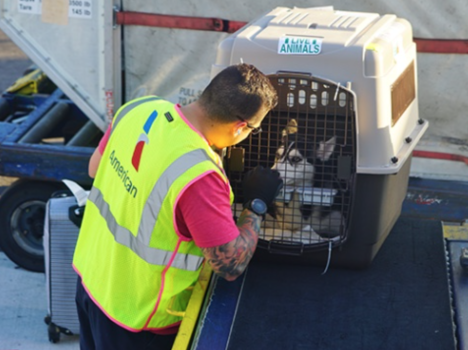 Image for Pet Express with ID of: 5571797
