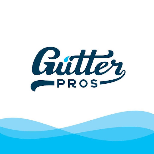 Image for Gutter Pros with ID of: 6400959