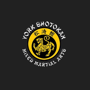 Image for traditional karate classes york pa with ID of: 6401865