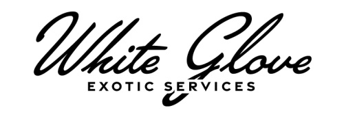Image for White Glove Exotic Services with ID of: 5574476