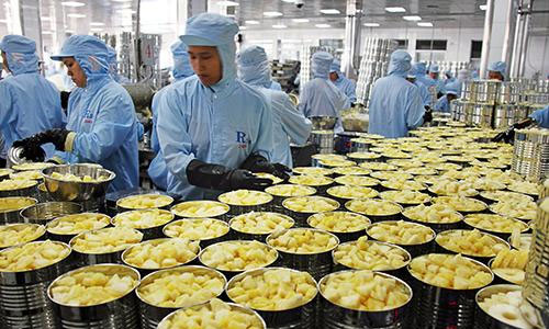 Image for Pineapple Processing Plant Project Report 2025: Industry Trends and Raw Materials with ID of: 6402808