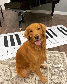 Image for Jennifer Jackson Piano Studio with ID of: 5575942