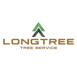 Image for Longtree Tree Service with ID of: 6403892