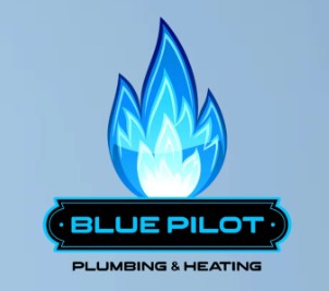Image for Blue Pilot Ltd with ID of: 6405076