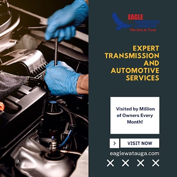 Image for Eagle Transmission with ID of: 5577271