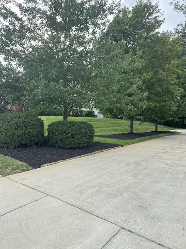 Image for Main Street Mulch with ID of: 5578409