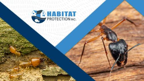 Image for Habitat Protection, Inc. with ID of: 5578747
