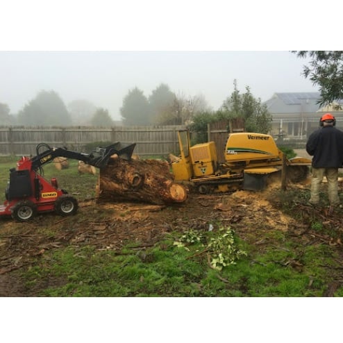 Image for Cut It Right Tree Service with ID of: 5579771