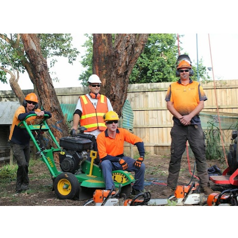 Image for Cut It Right Tree Service with ID of: 5579773