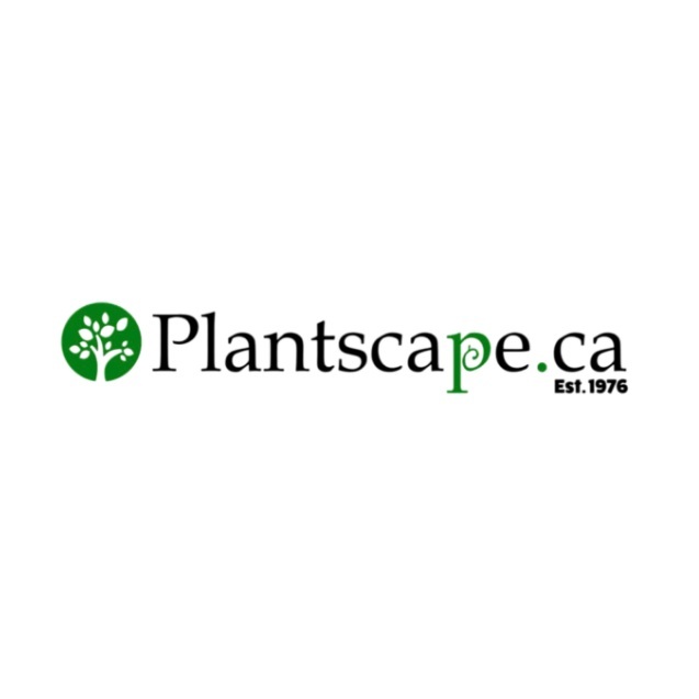 Image for Plantscape with ID of: 6408336