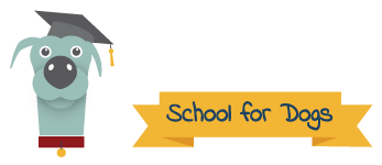 Image for Bremeny School for Dogs with ID of: 6408581
