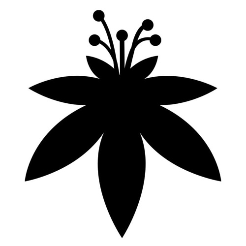 Image for The Flowery Miami with ID of: 6409978