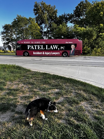 Image for Patel Law, PC with ID of: 5584386