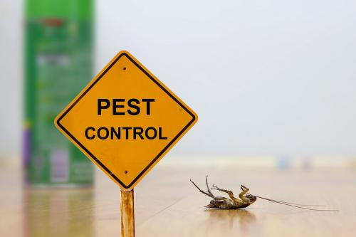 Image for Battle A Bug with ID of: 5586284