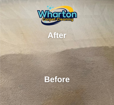 Image for Wharton Carpet Cleaning with ID of: 5586871