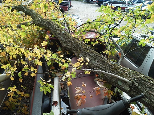 Image for Dave's Landscape Management Company with ID of: 5588331